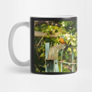 Kingfisher Mug